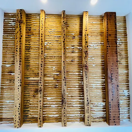 Casa Da Arquitectura - Texturas