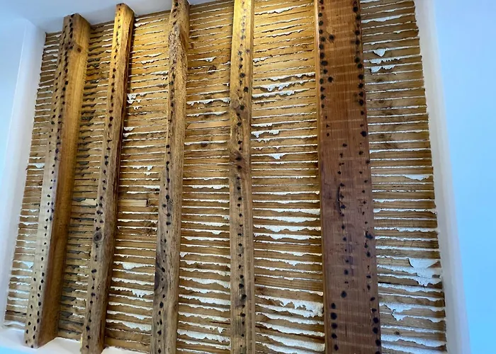 Casa Da Arquitectura - Texturas Angra do Heroísmo