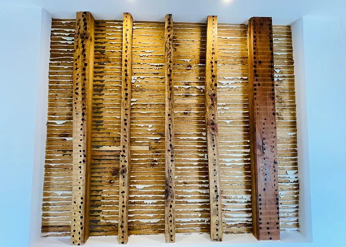 Casa Da Arquitectura - Texturas