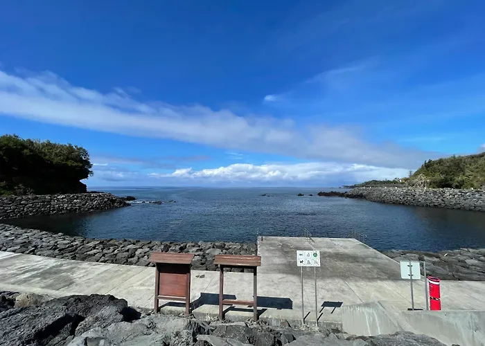 Casa Da Arquitectura - Texturas * Angra do Heroismo